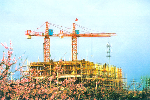 provide tower crane