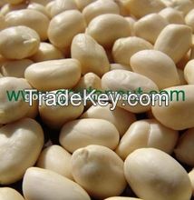 blanched peanuts 