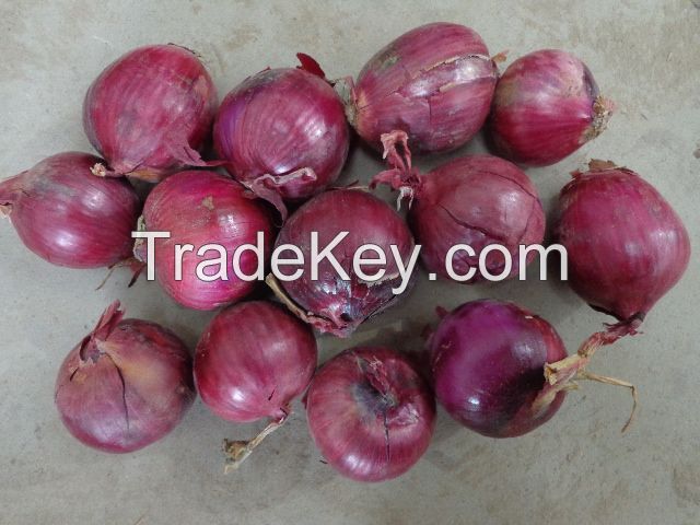 red onion