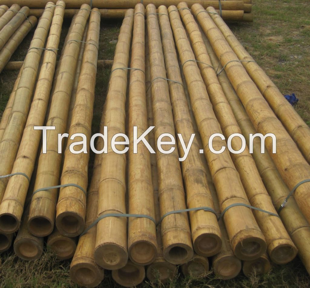 Bamboo Treated Poles By Angatin Ang Atin Foundation, Inc.,