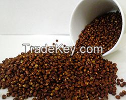 Grains Of Paradise Seeds
