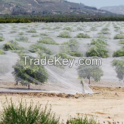 Citrus Netting