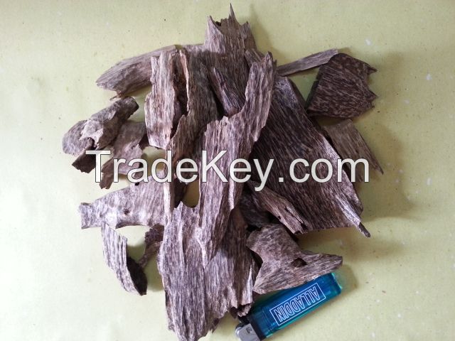 Agarwood