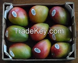 tropical mangoes