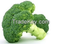 tender stem broccoli