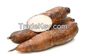 cassava