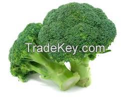 tender stem broccoli