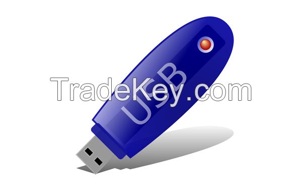 USB Flash Drive