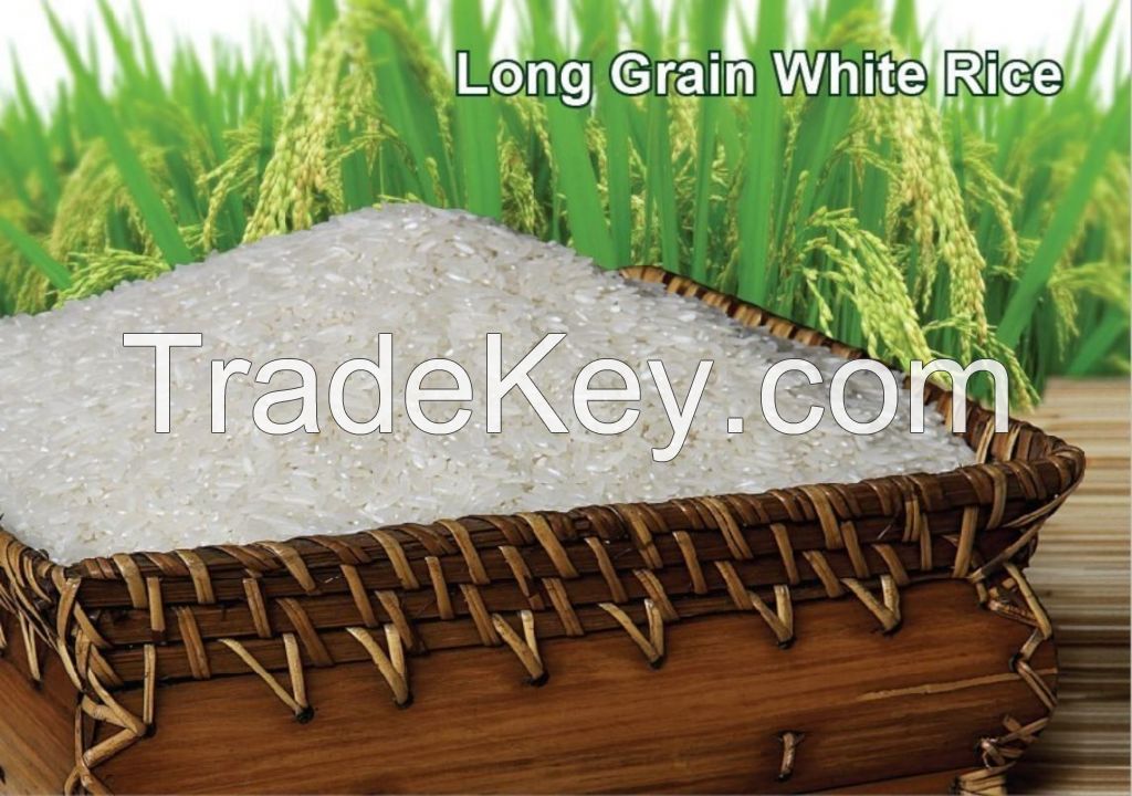 Cheap Price White Rice