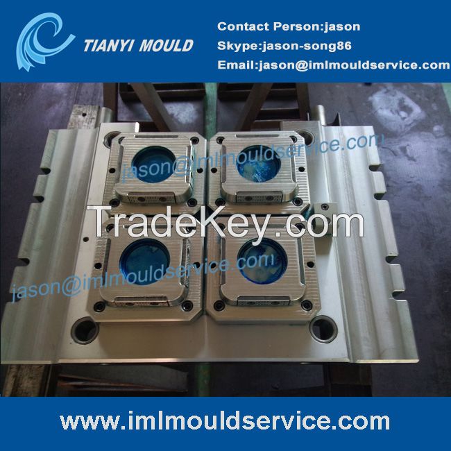 professional plastics thin wall mold companies