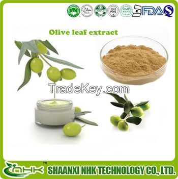 Factory supply high quality olive leaf extract, olive leaf powder, oleuropein