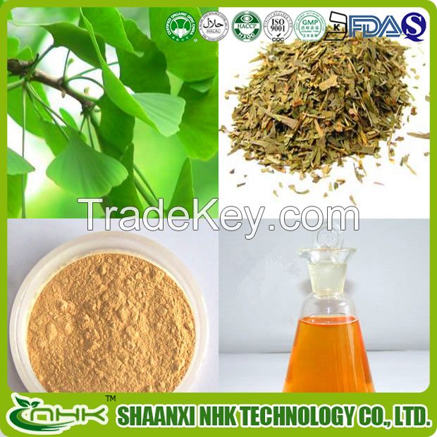 100% Natural Ginkgo Biloba Extract, Ginkgo Biloba Powder, Ginkgo Biloba Leaf Extract