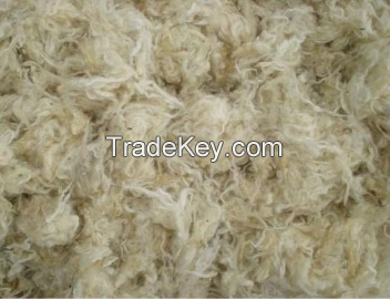 Dirty Wool And Raw Wool From Chile 