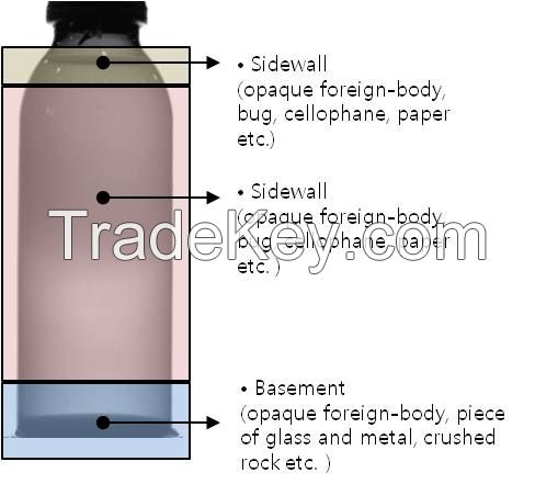 Filled bottle inspection system