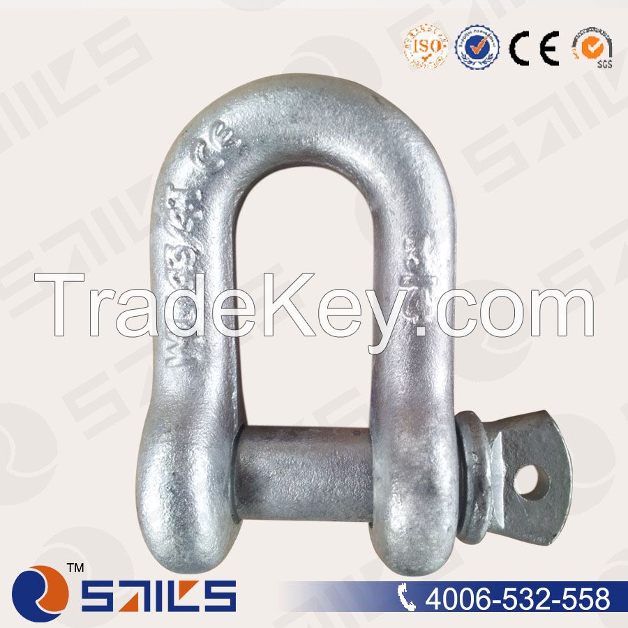 US Type Drop Forged D Shackles