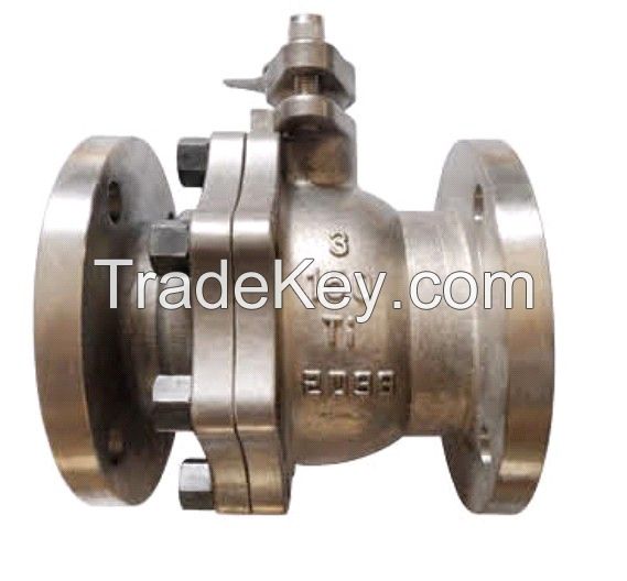 Titanium ball valve