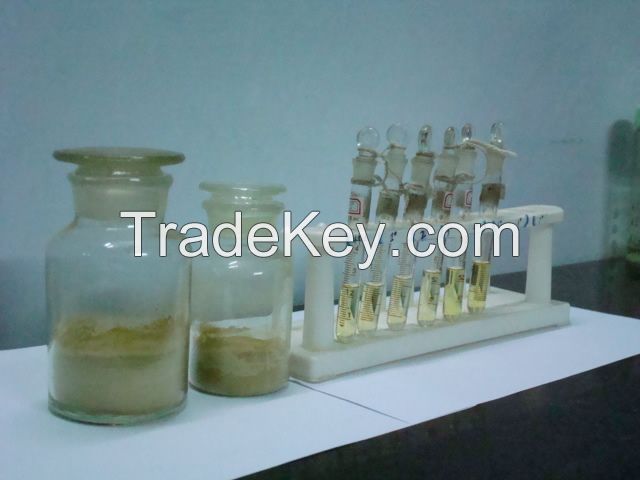 Gingko Biloba Extract