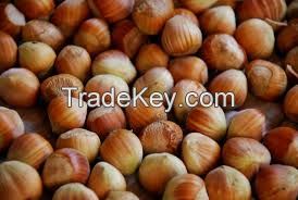 hazelnuts