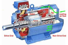 Electric Motor EM-001