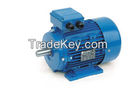 Electric Motor