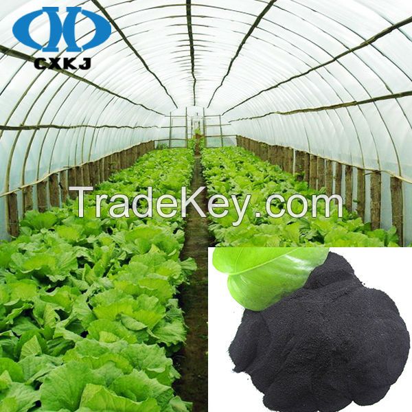 First Rate Humic Acid