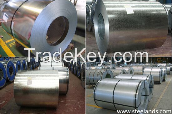 Hot Dipped Galvanized/Galvalume Steel