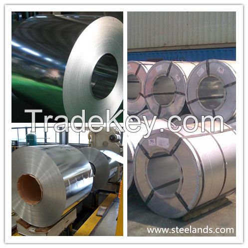 Hot Dipped Galvanized/Galvalume Steel