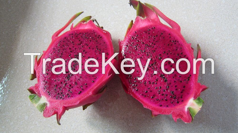 Vietnam 2014 Fresh Red Dragon Fruit / White Dragon Fruit