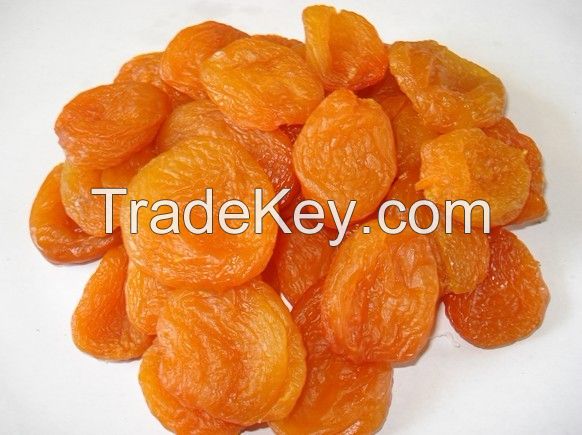 fresh dried apricots for sale