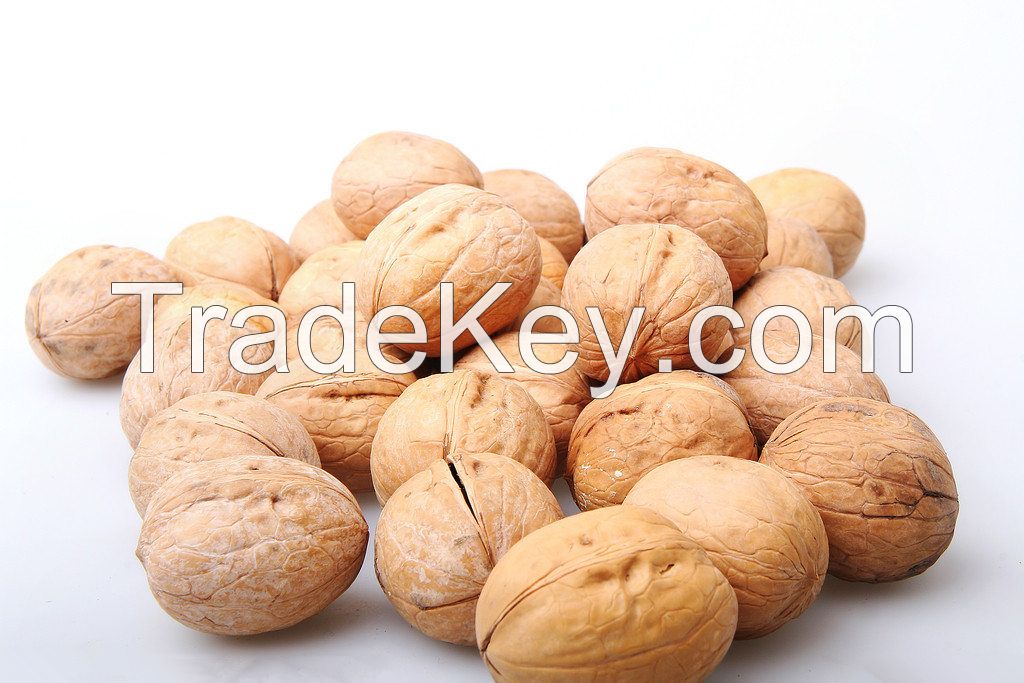 2014 new crop walnut in shell and kernel
