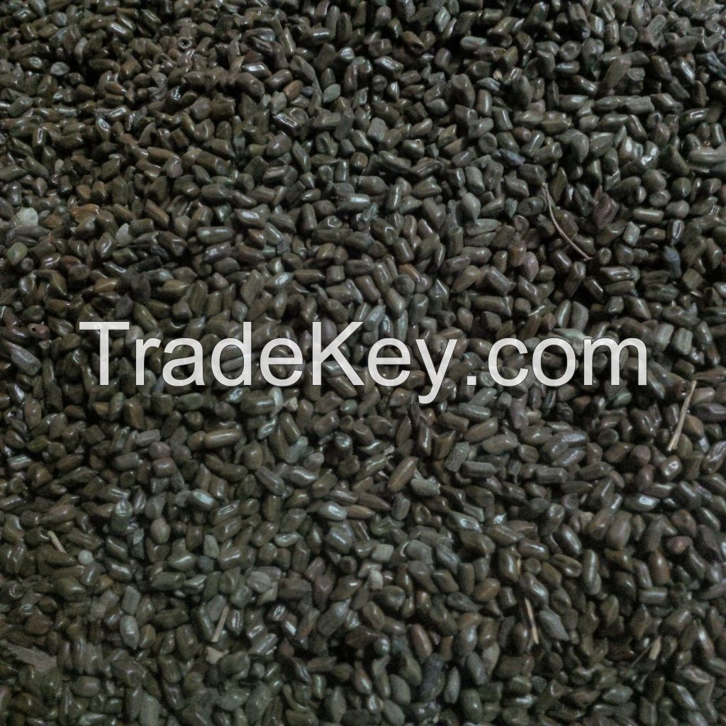 nigerian Cassia Tora Seeds
