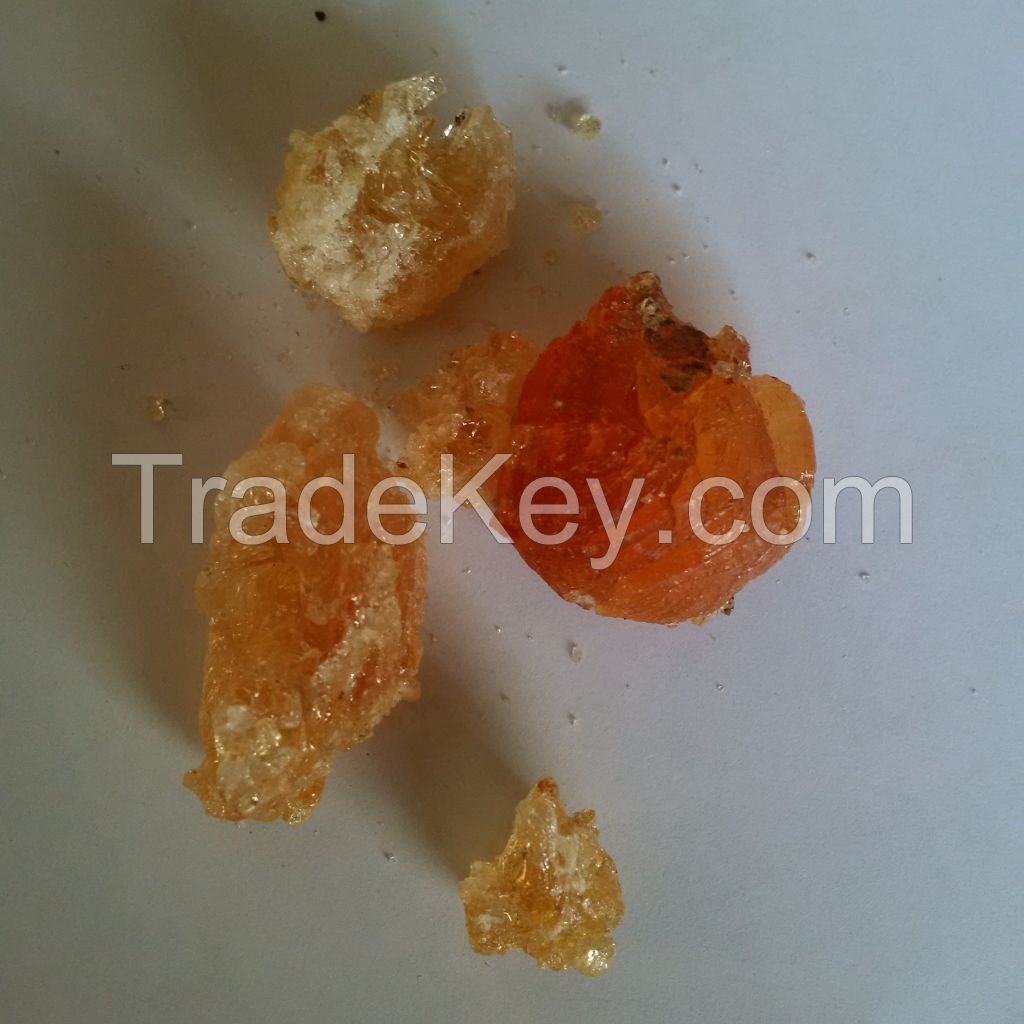 acacia gum exporters