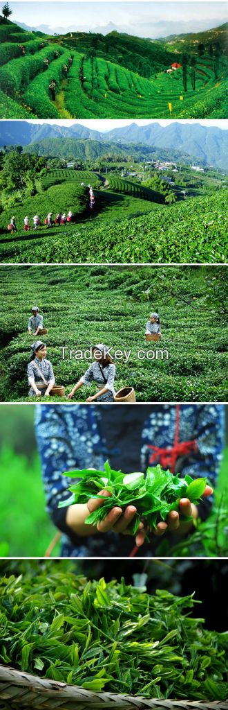 Xiao's healthy  green tea with leaf washed 100% green  tea taste 