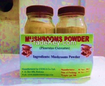 mushroom powder