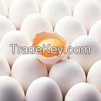 Fresh Chicken Eggs (white and Brown) Eggs