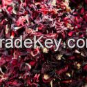 Hibiscus Red Sorrel