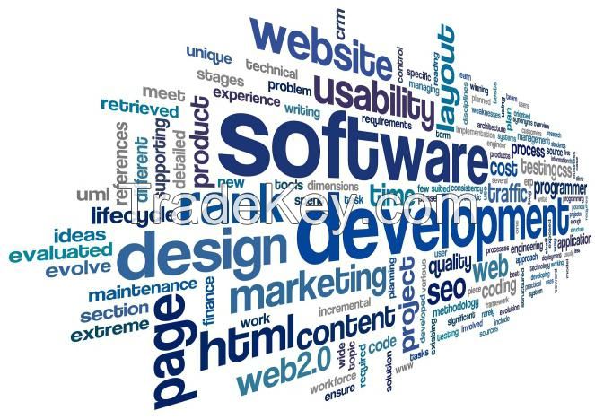Software Development, Web design