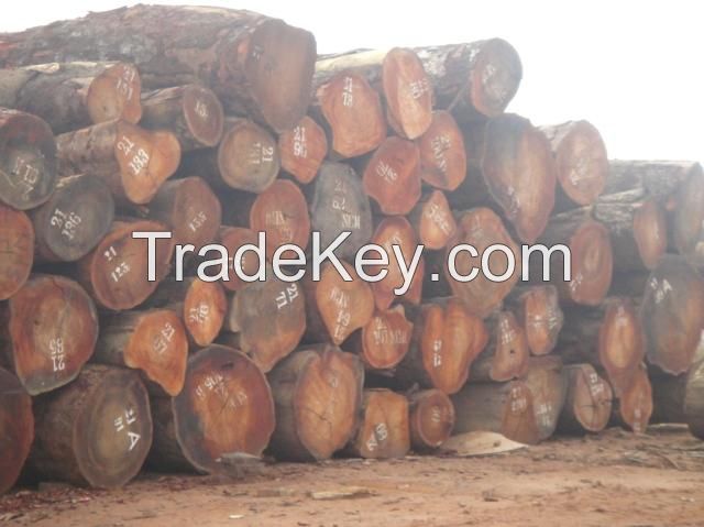 Best price  timber wood 