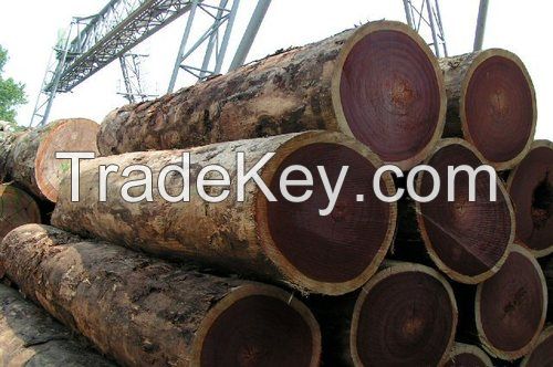 High quality Cameroon Best Wood Log Timber for Sale