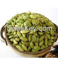 Cardamom