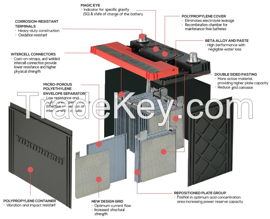 Automotive Batteries