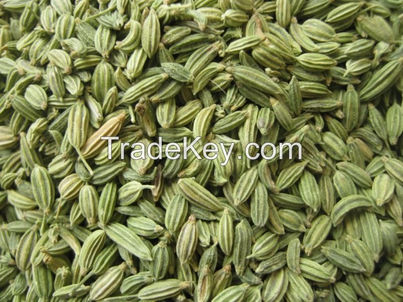 Fennel Seed