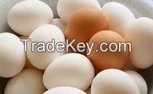 fresh chicken egg white and brown size : 40g-50g-60g-65g-70g