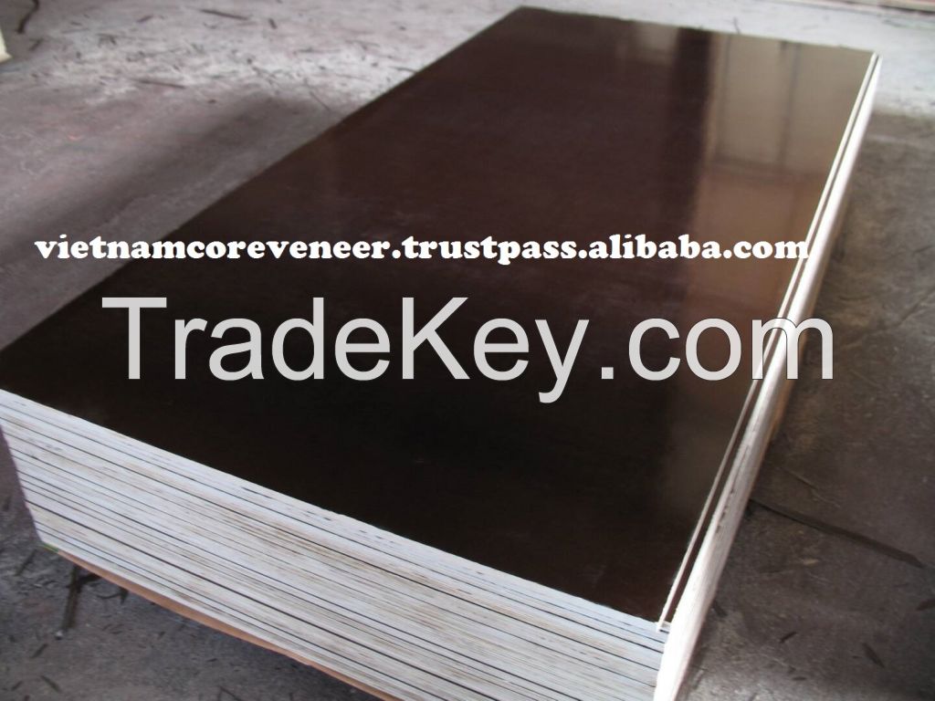 Construction plywood from Viet Nam