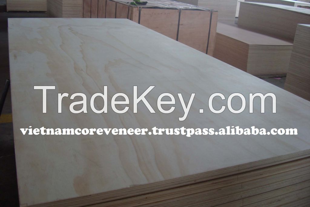 PINE plywood with best price