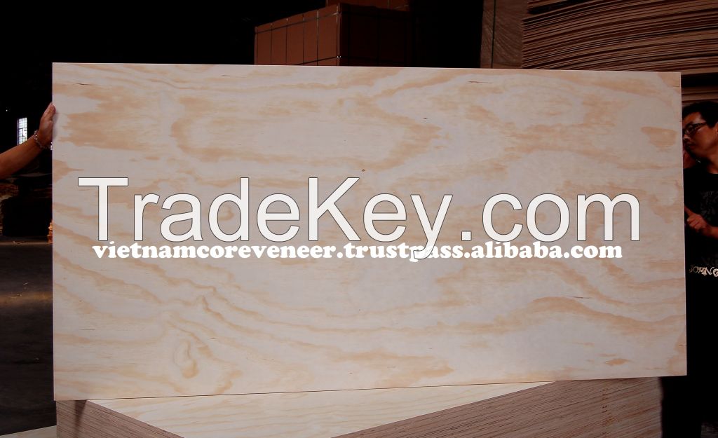 PINE plywood with best price