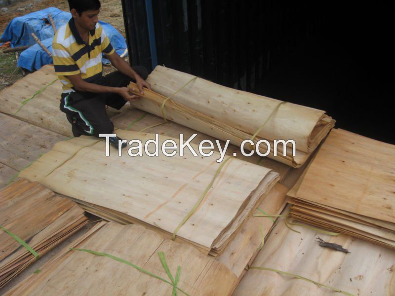 acacia, eucalyptus core veneer Best price