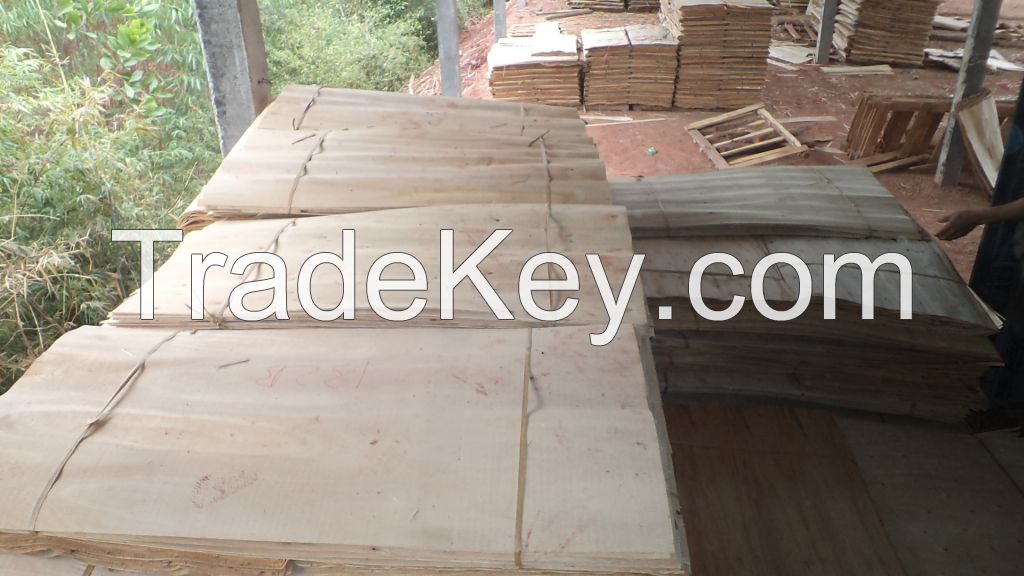 acacia, eucalyptus core veneer Best price