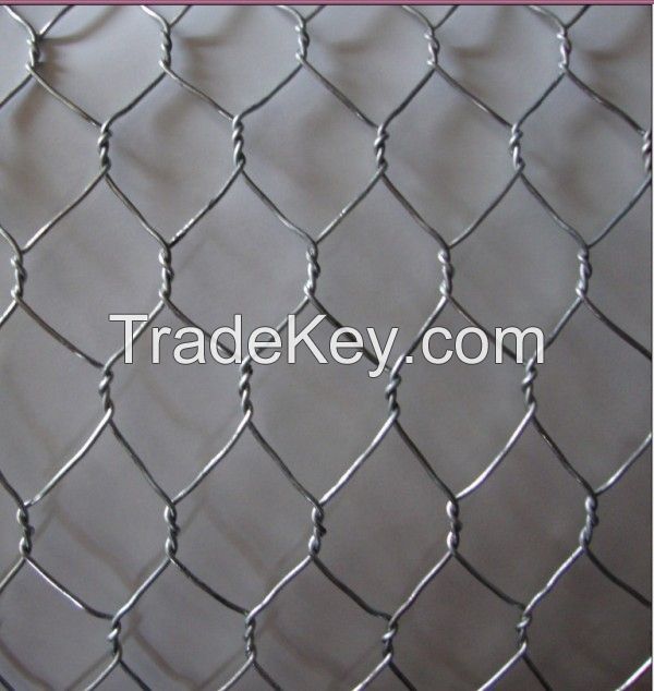 Hexagonal wire mesh