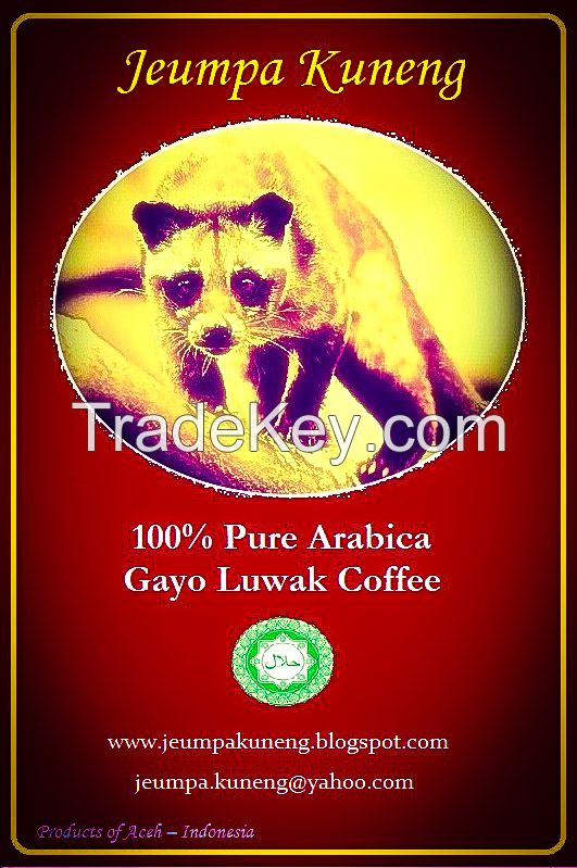 Jeumpa kuneng - arabica gayo luwak civet coffee